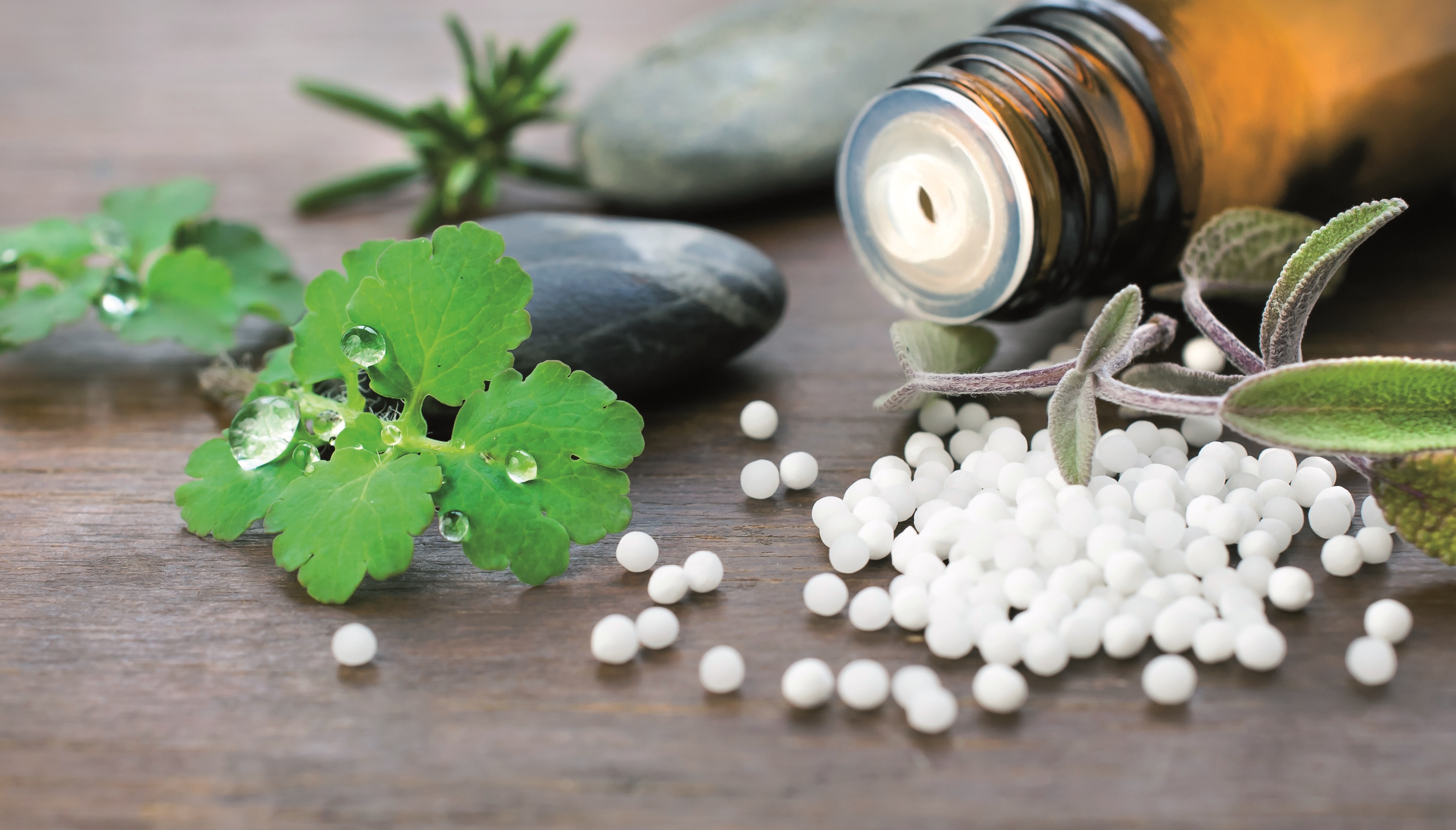 Homeopathy - Which Way Now? - Homeopathic Remedies